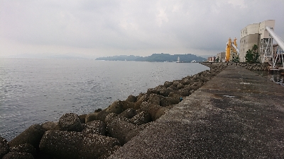 激渋ショアジギング