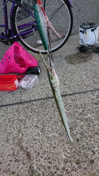 サバ〜ダツ〜タイ！！