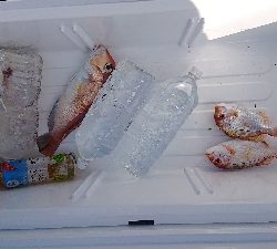 暑いけどタイラバ