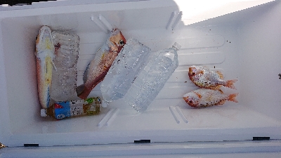 暑いけどタイラバ