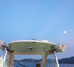 同期とイカメタル