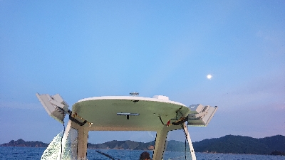 同期とイカメタル