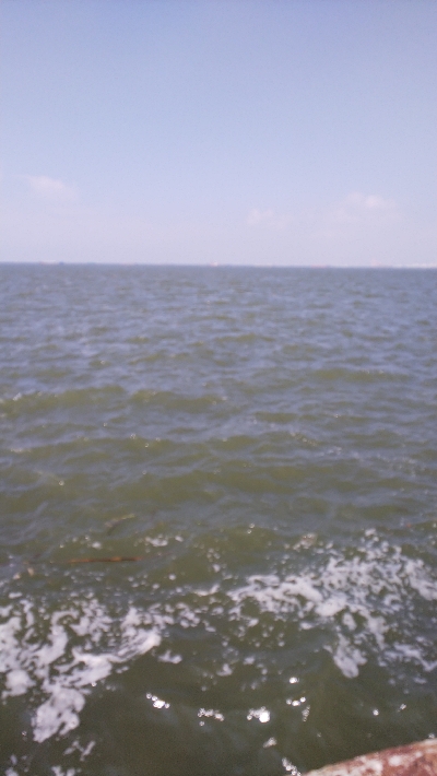 今月チヌ絶好調ストリンガー足りません！