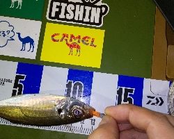 連敗ストップなるか！？