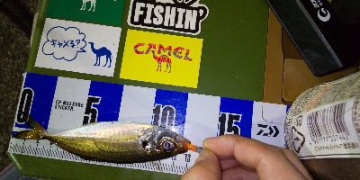 連敗ストップなるか！？