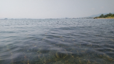 久しぶりの50アップ