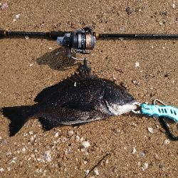 やっとの思いで一匹