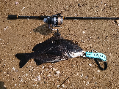 やっとの思いで一匹