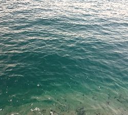 ちょこっとエギング調査