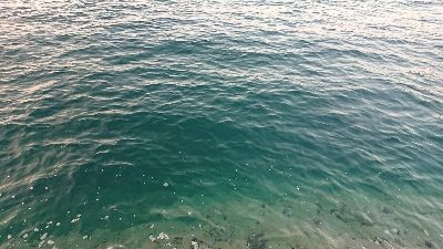 ちょこっとエギング調査