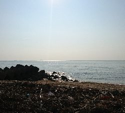 四日市・鈴鹿サーフをランガンマゴチゲーム