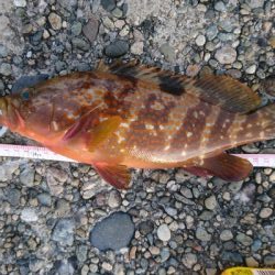 朝は涼しいです