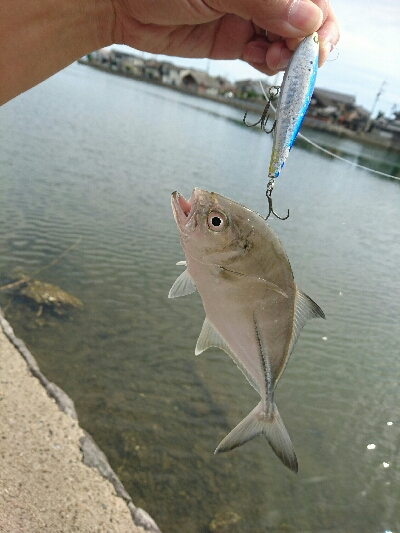 1ｹ月ぶりの釣行