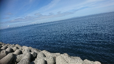 早朝ショアジギはヒラメ!!赤ちゃん