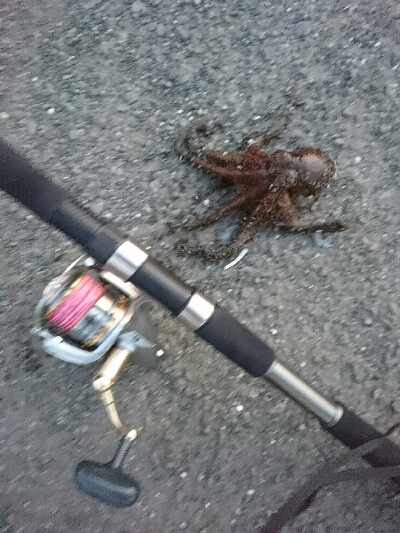 タコカウンター5杯目！！