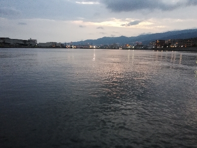 アルカリシャッドでヒット