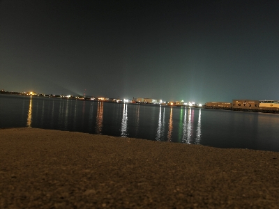 ナイトシーバスゲーム