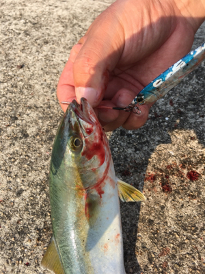 ツバスイマイチ