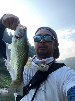 ダウンショット早朝バスget