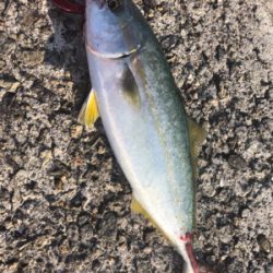 熱中症になりそうなぐらい