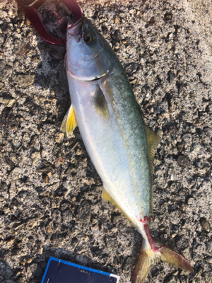 熱中症になりそうなぐらい