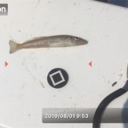 ミニチュア祭り