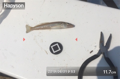 ミニチュア祭り