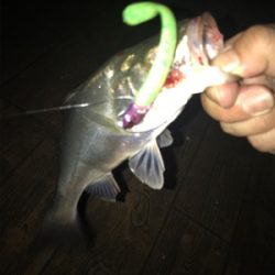 いつもと違う？