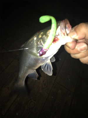 いつもと違う？