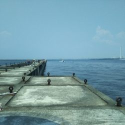 まだまだ修行が足りません