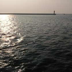 久しぶりの場所