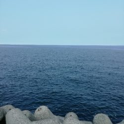 ちょっと成長してる