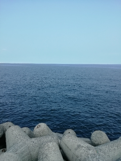 ちょっと成長してる