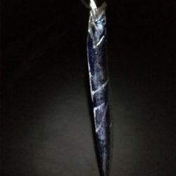 ルアーで太刀魚