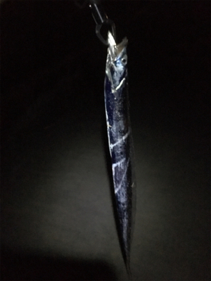 ルアーで太刀魚