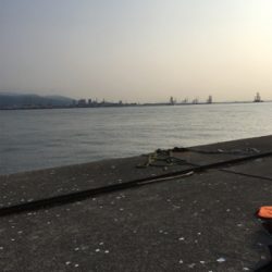 ツバスパーティー