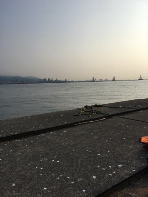 ツバスパーティー