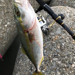 ツバッシング〜