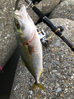 ツバッシング〜