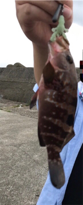 日本海 プチ遠征