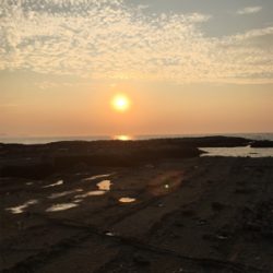 マゴチ釣れました!