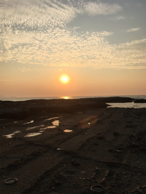 マゴチ釣れました!