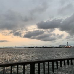 武豊ファイザー前、サッパ オンリー。