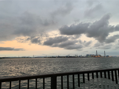 武豊ファイザー前、サッパ オンリー。