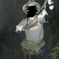 今夜もシーバス