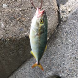 ルアーチェンジ