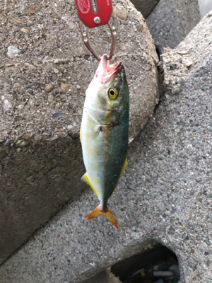 ルアーチェンジ