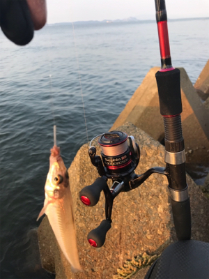 ちょい投げキス釣り(^^)