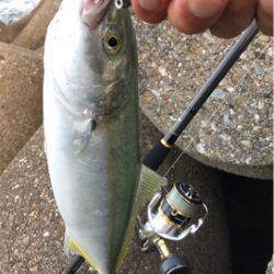 ツバッシング(๑˃̵ᴗ˂̵)