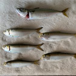 風ツヨ、波タカ。